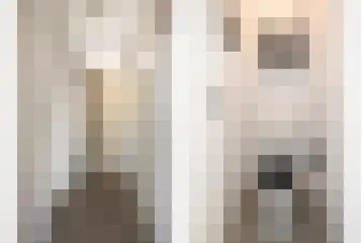 Klaversingel 59 Biddinghuizen thumbnail 17