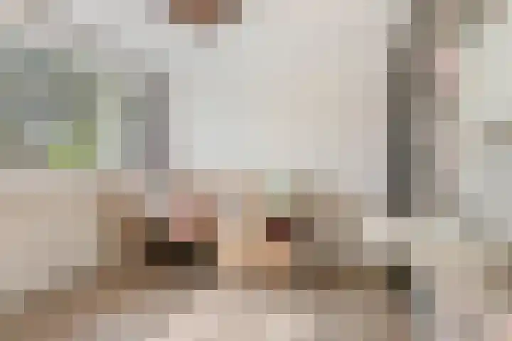 Klaversingel 59 Biddinghuizen thumbnail 21