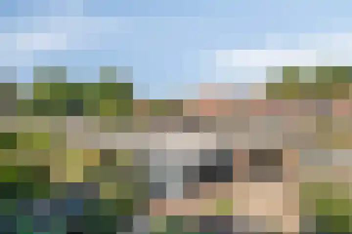 Klaversingel 59 Biddinghuizen thumbnail 25