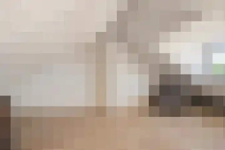 Klaversingel 59 Biddinghuizen thumbnail 27