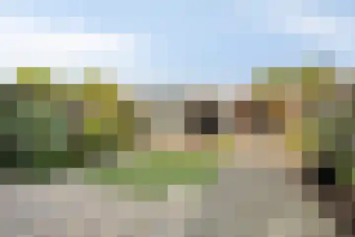 Klaversingel 59 Biddinghuizen thumbnail 29