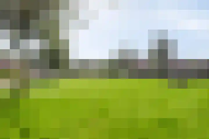 Klaversingel 59 Biddinghuizen thumbnail 30