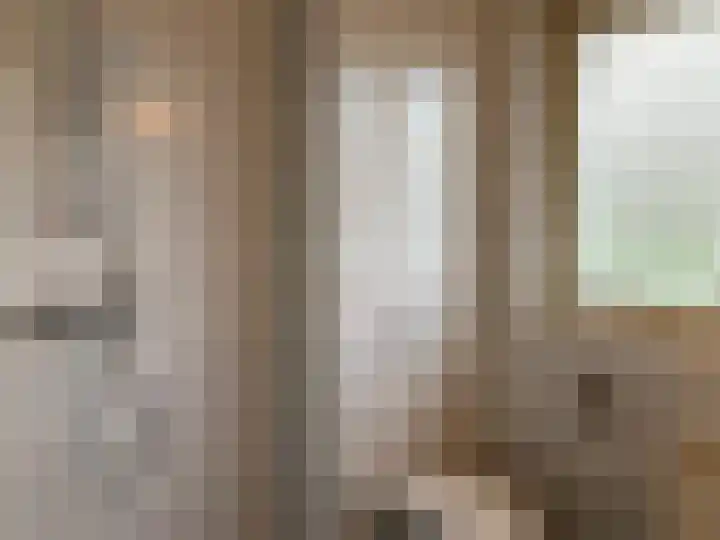 Klaversingel 71 Biddinghuizen thumbnail 21