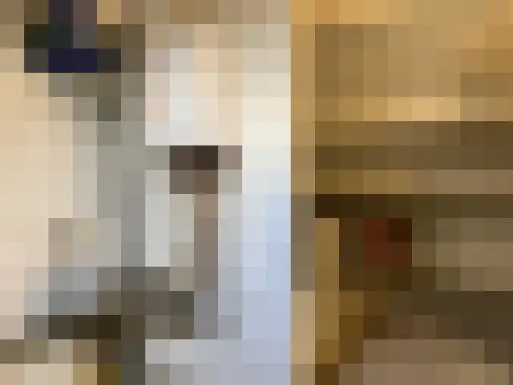Klaversingel 71 Biddinghuizen thumbnail 23