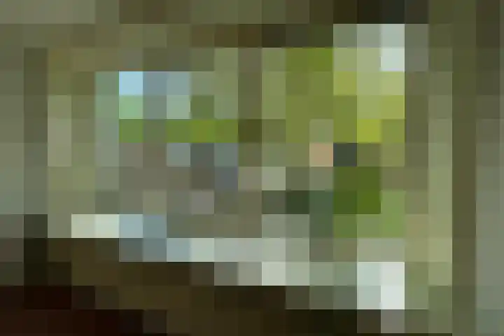 Klaversingel 87 Biddinghuizen thumbnail 11