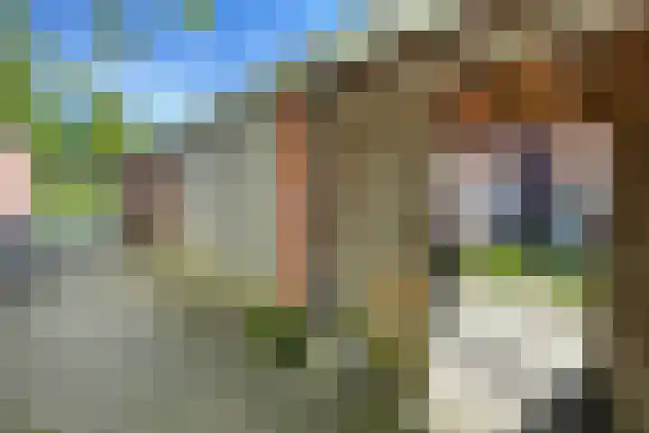 Klaversingel 87 Biddinghuizen thumbnail 19