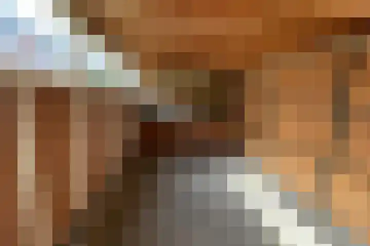 Klaversingel 87 Biddinghuizen thumbnail 21