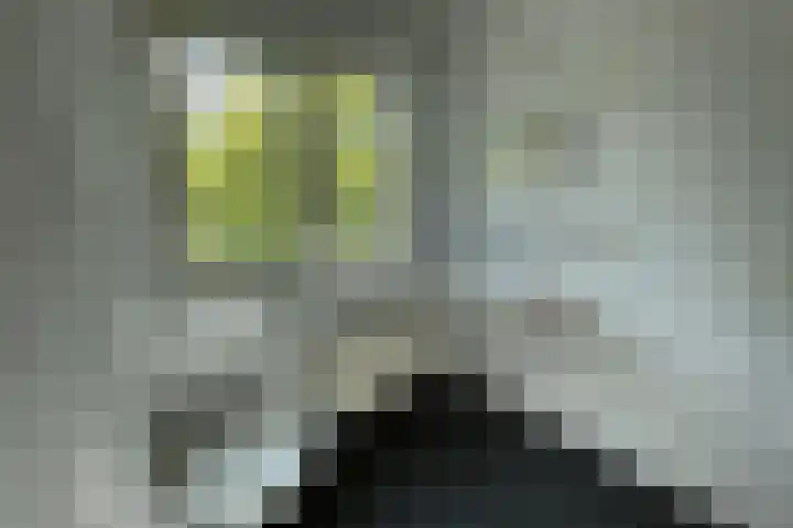 Klaversingel 87 Biddinghuizen thumbnail 24