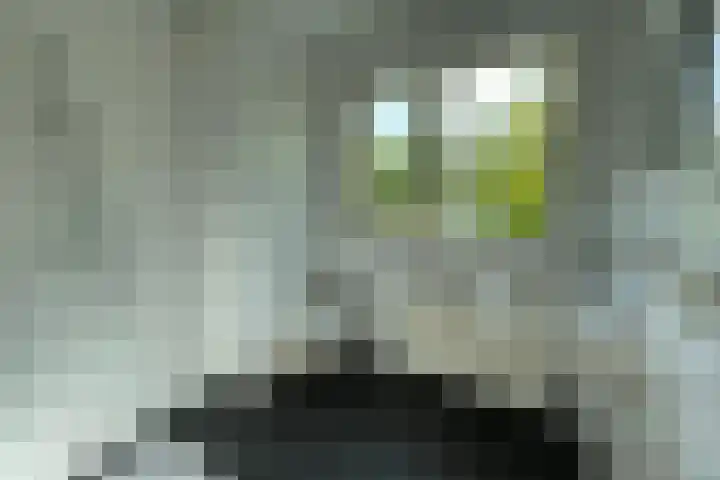 Klaversingel 87 Biddinghuizen thumbnail 25
