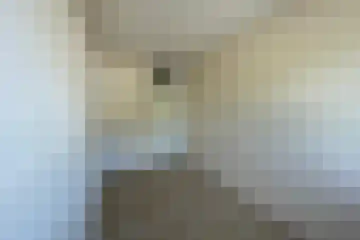 Klaversingel 87 Biddinghuizen thumbnail 26