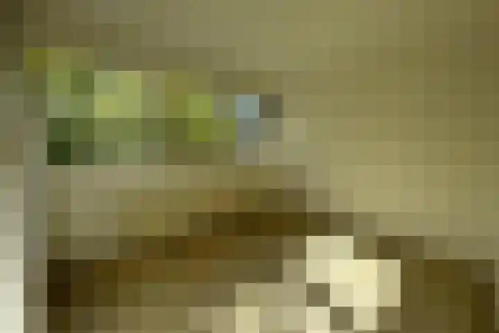 Klaversingel 87 Biddinghuizen thumbnail 28