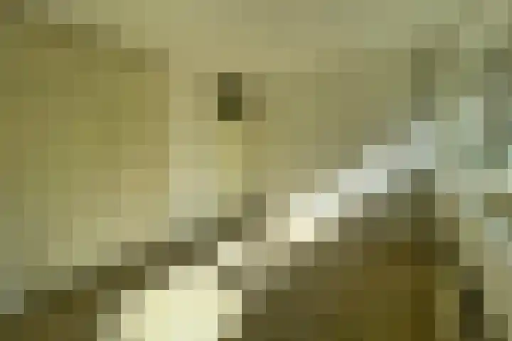 Klaversingel 87 Biddinghuizen thumbnail 29