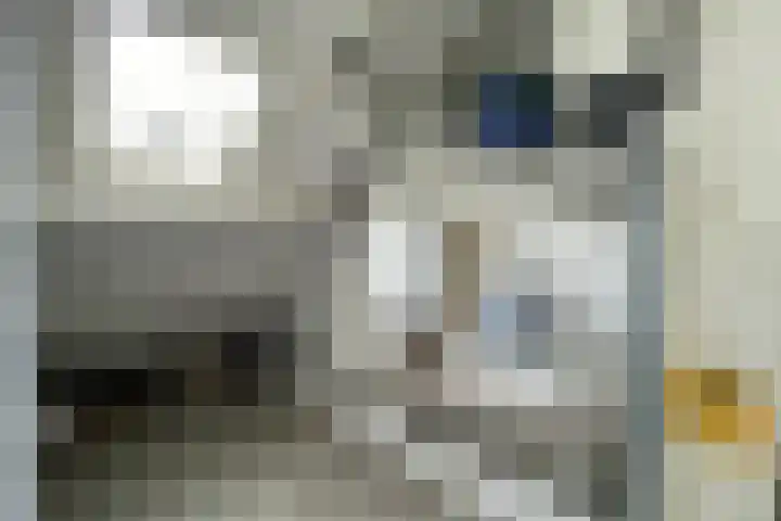 Klaversingel 87 Biddinghuizen thumbnail 36