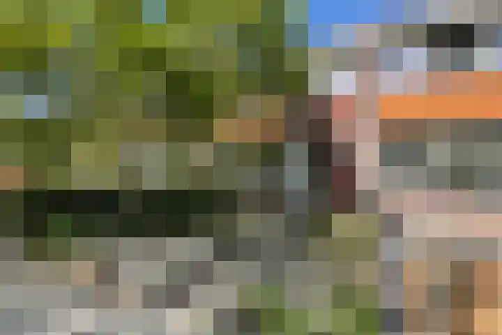 Klaversingel 87 Biddinghuizen thumbnail 5