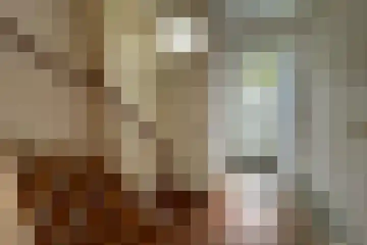 Klaversingel 87 Biddinghuizen thumbnail 7