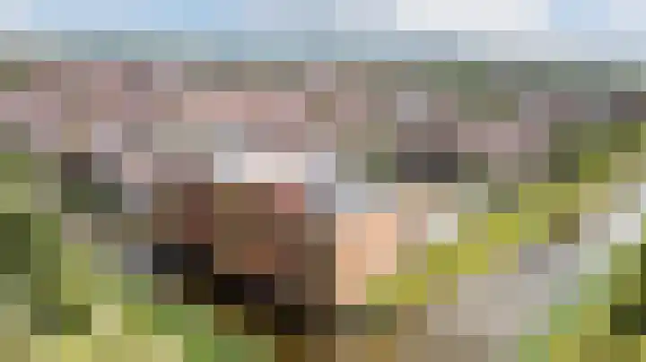 Klaversloot 13 Broek op Langedijk thumbnail 47