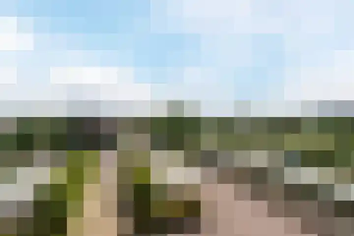 Klaversloot 15 Broek op Langedijk thumbnail 39