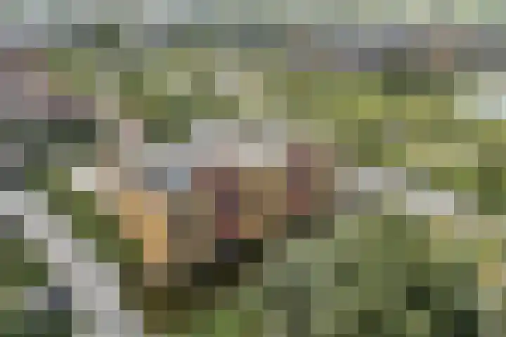 Klaversloot 15 Broek op Langedijk thumbnail 42