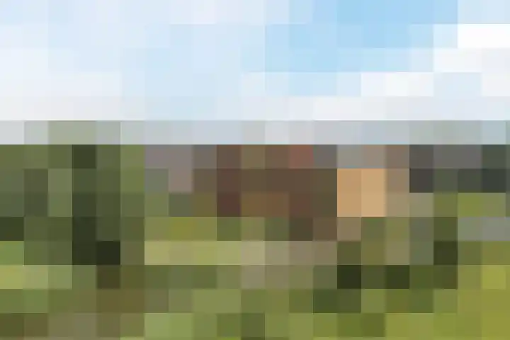 Klaversloot 15 Broek op Langedijk thumbnail 43