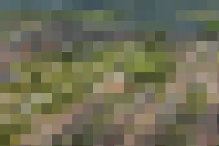 Klaversloot 15 Broek op Langedijk thumbnail 44