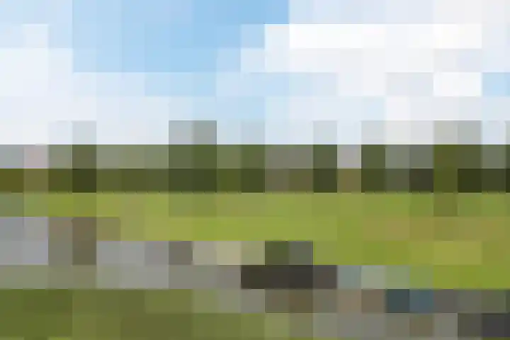 Klaversloot 15 Broek op Langedijk thumbnail 46