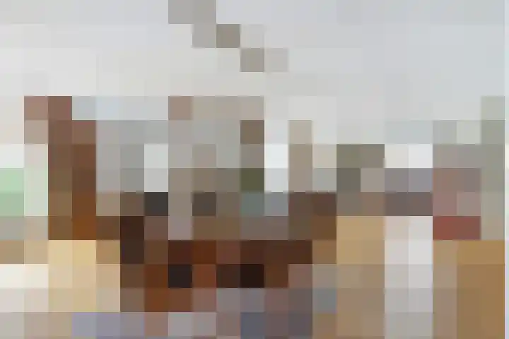 Klaversloot 21 Broek op Langedijk thumbnail 10