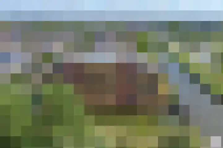 Klaversloot 21 Broek op Langedijk thumbnail 45