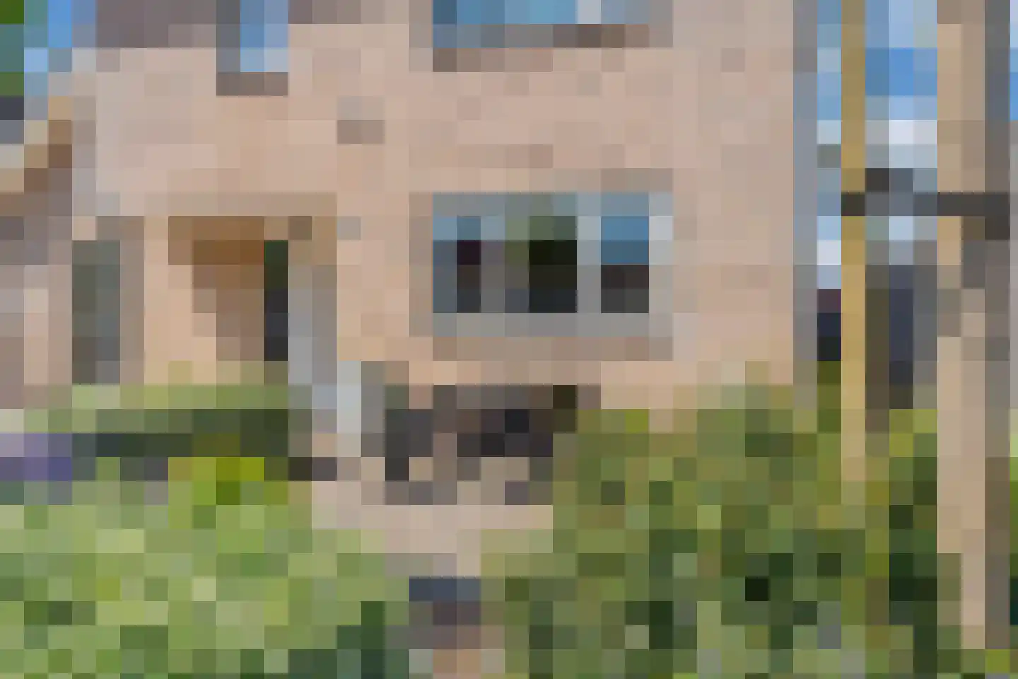 Klaversloot 41 Broek op Langedijk thumbnail 5
