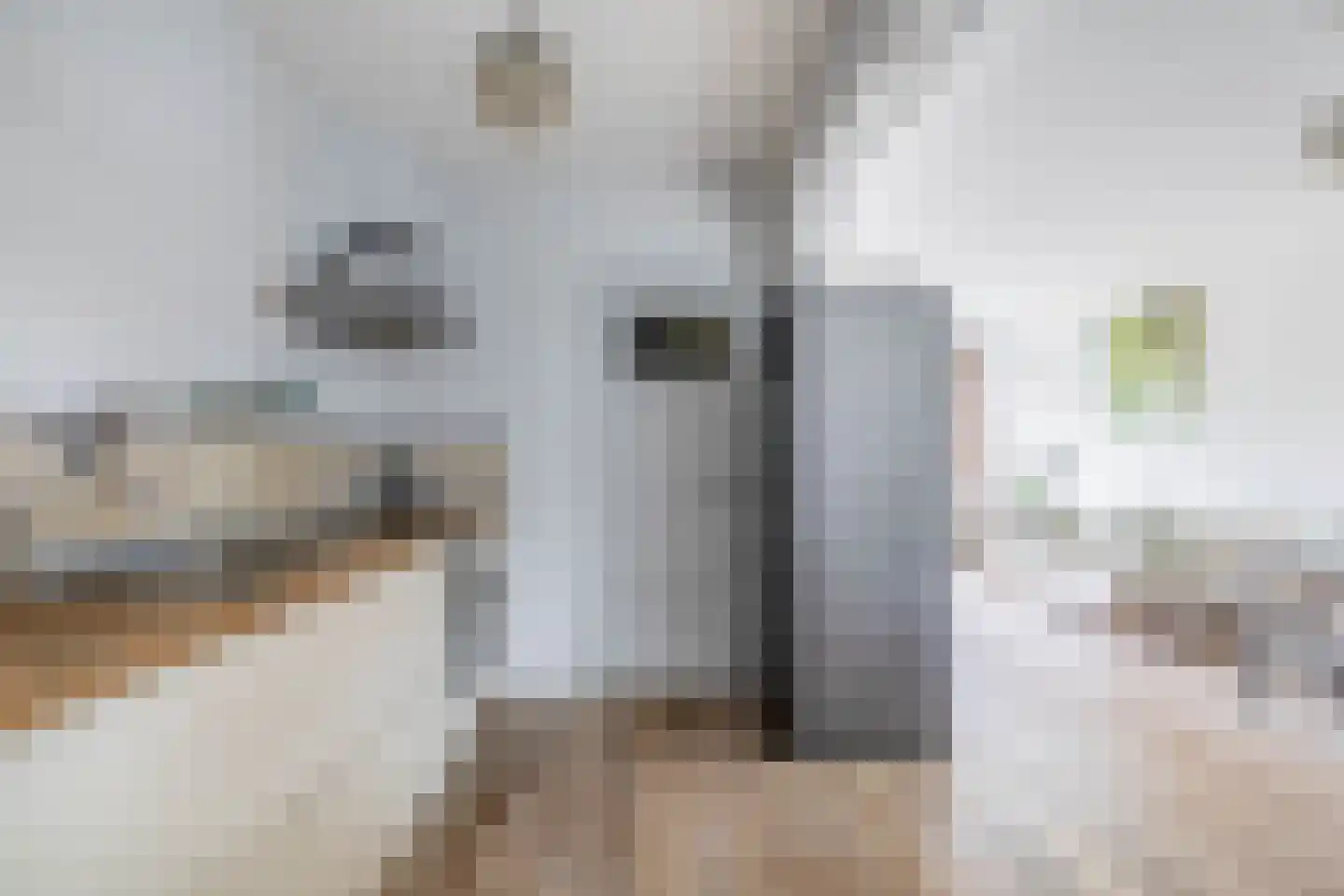 Klaverstraat 1 Julianadorp thumbnail 12