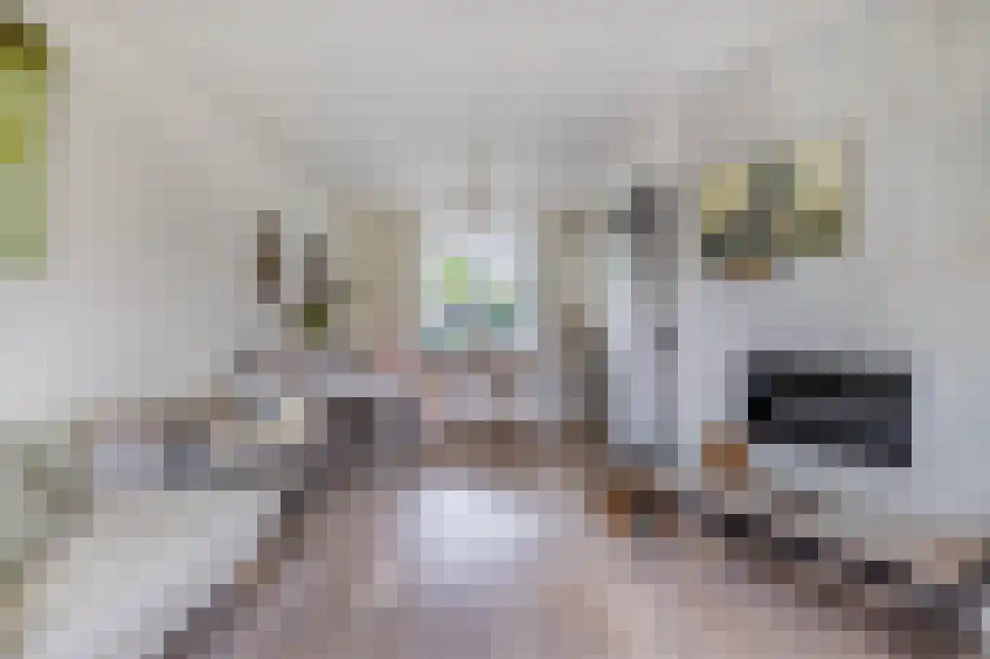 Klaverstraat 1 Julianadorp thumbnail 4