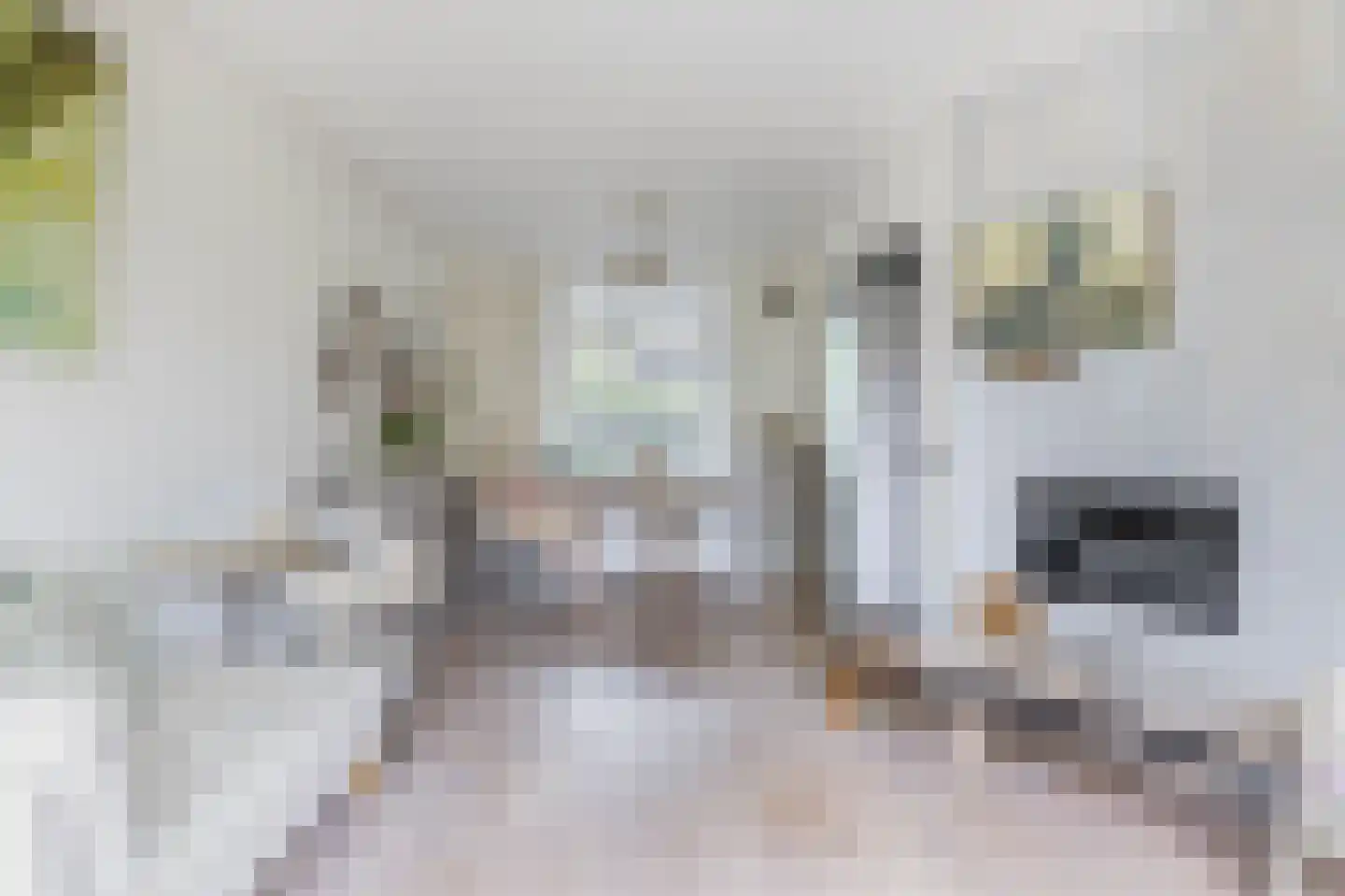 Klaverstraat 1 Julianadorp thumbnail 6