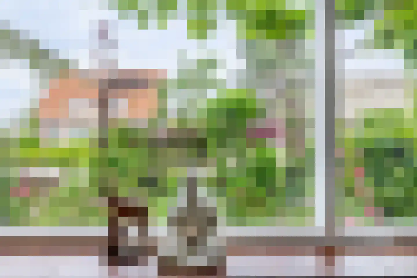 Klaverstraat 1 Julianadorp thumbnail 7
