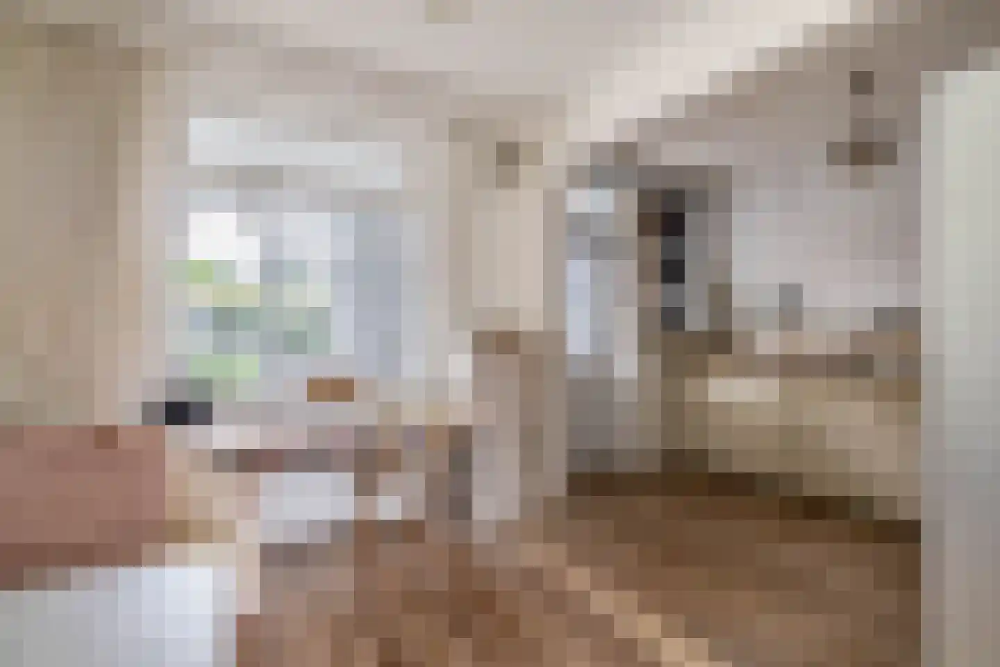 Klaverstraat 1 Julianadorp thumbnail 8