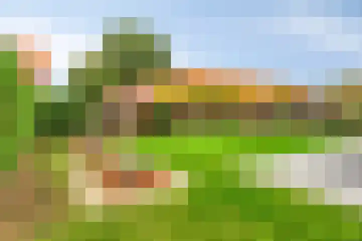 Klaverstraat 10 Lewedorp thumbnail 22