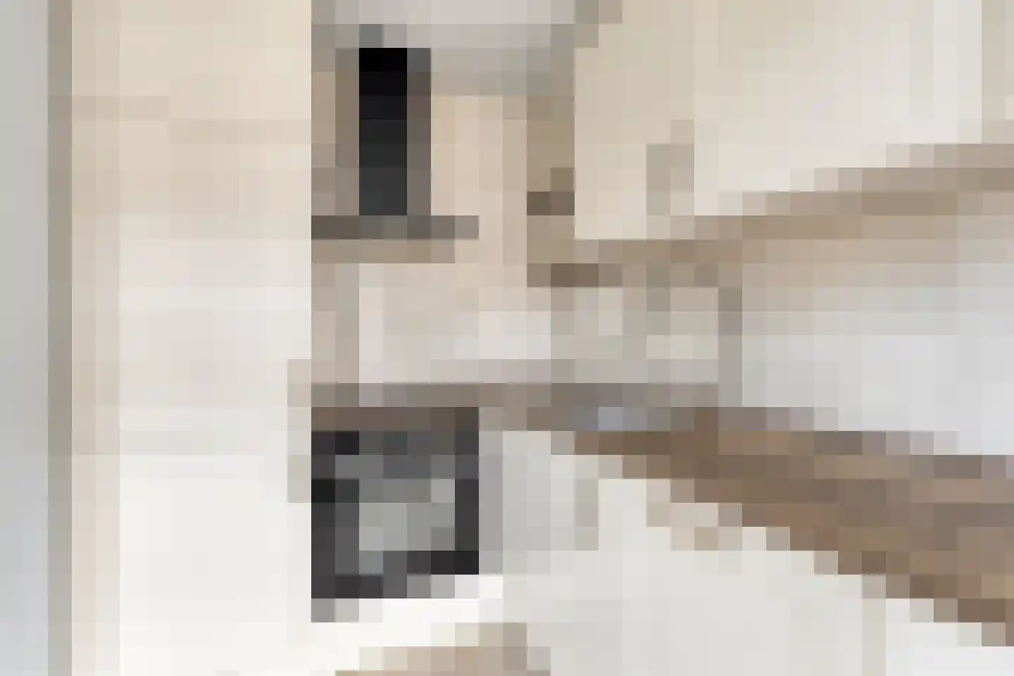 Klaverstraat 11 Tilburg thumbnail 9