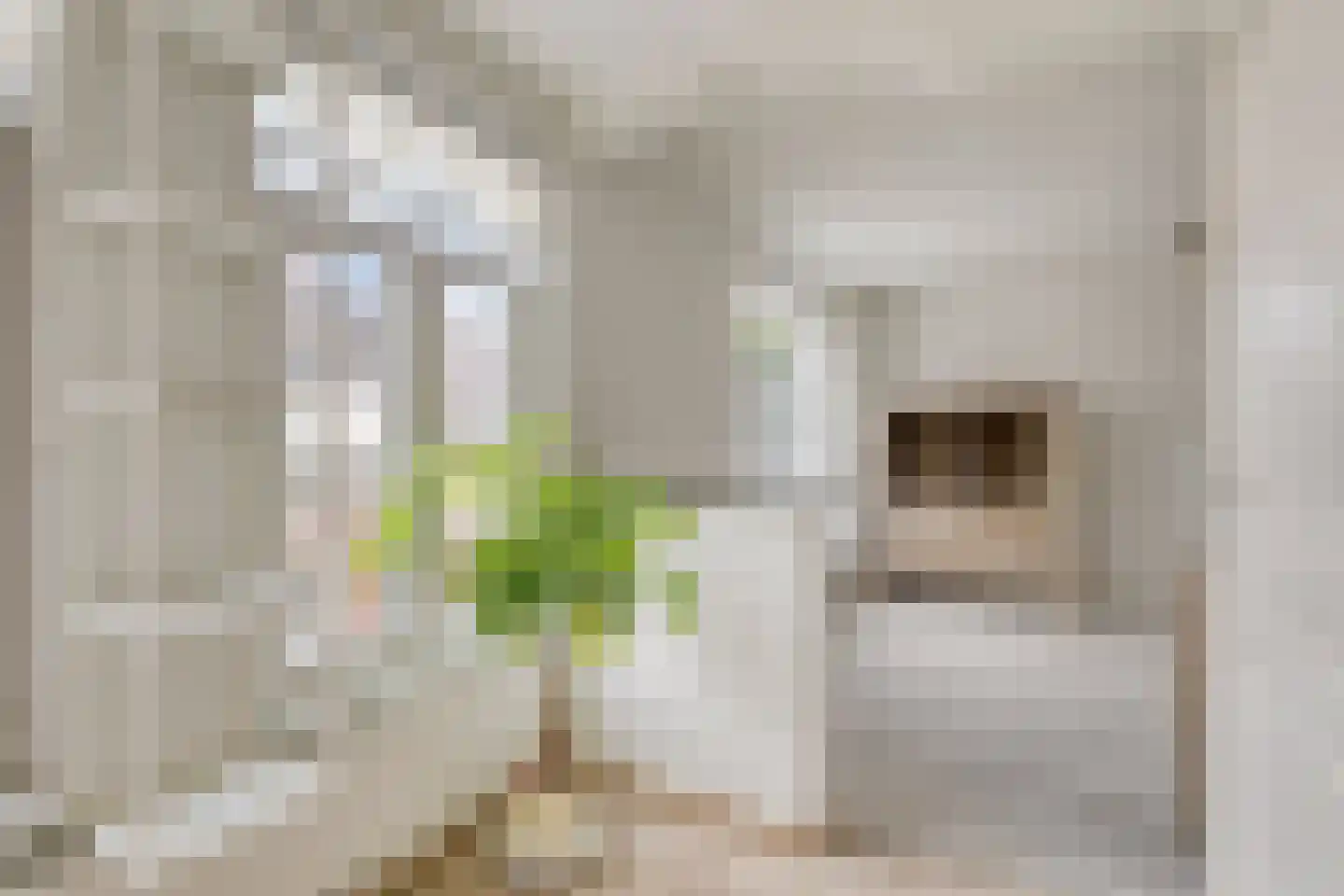 Klaverstraat 11 Tilburg thumbnail 8