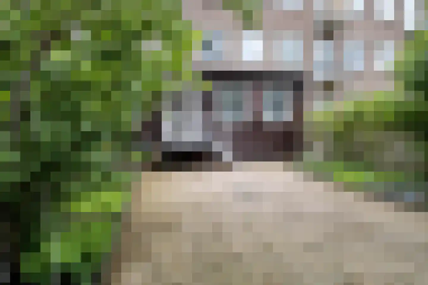 Klaverstraat 118 A Rotterdam thumbnail 26