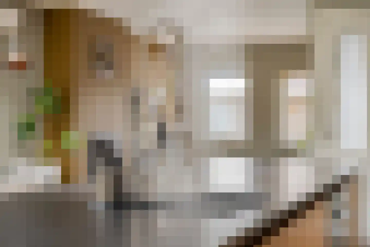 Klaverstraat 15 Bergeijk thumbnail 13