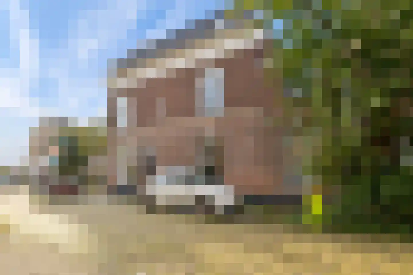 Klaverstraat 19 Utrecht thumbnail 27