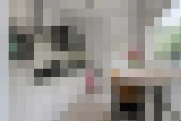 Klaverstraat 2 Tilburg thumbnail 21
