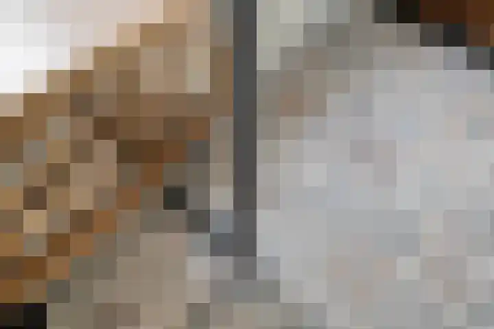 Klaverstraat 2 Tilburg thumbnail 23