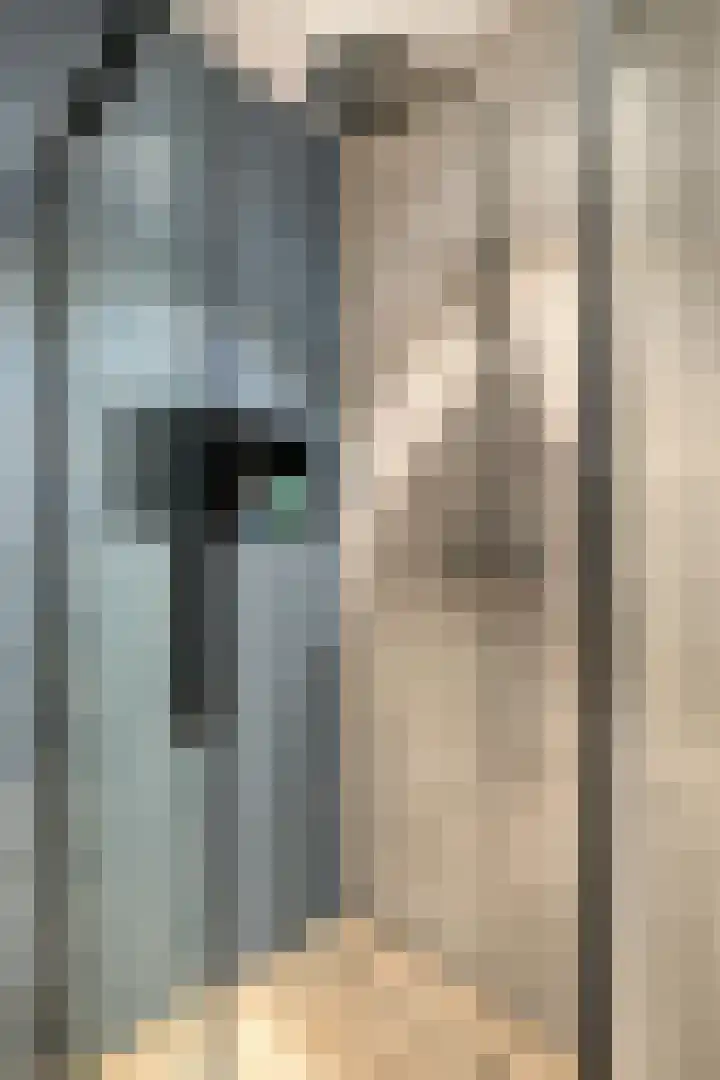 Klaverstraat 2 Tilburg thumbnail 31