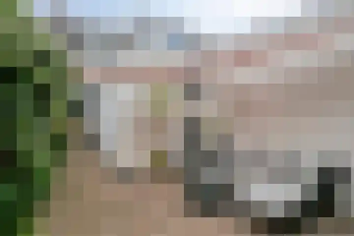 Klaverstraat 2 Tilburg thumbnail 44