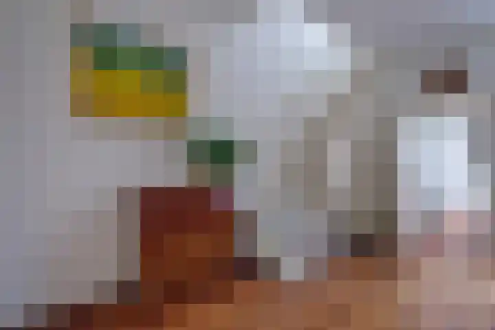 Klaverstraat 20 Utrecht thumbnail 7