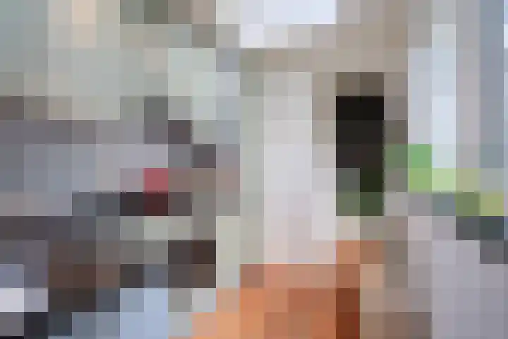 Klaverstraat 20 Utrecht thumbnail 8