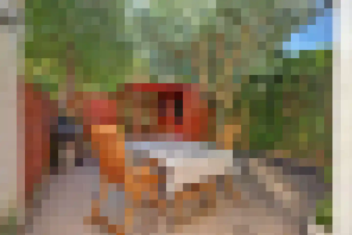 Klaverstraat 22 Den Haag thumbnail 54