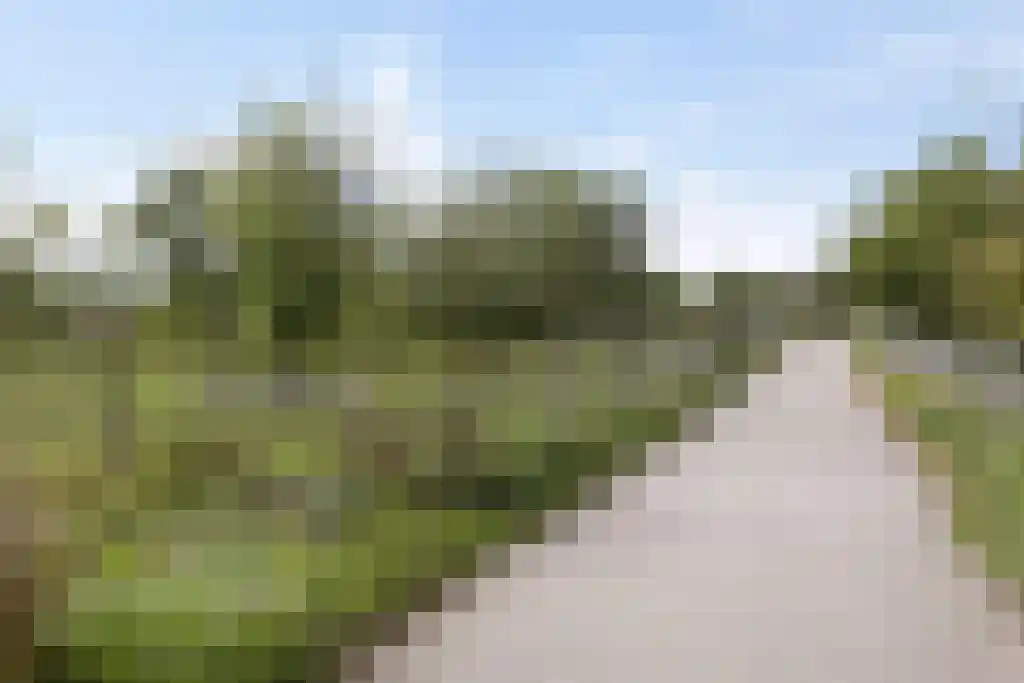Klaverstraat 35 Arnhem thumbnail 37
