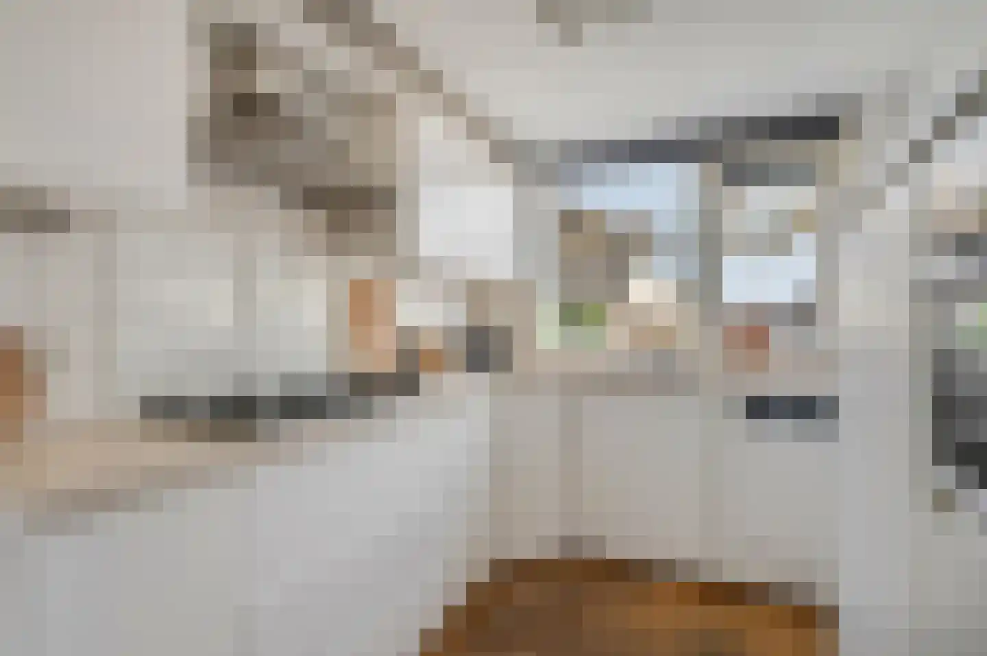Klaverstraat 35 Arnhem thumbnail 9