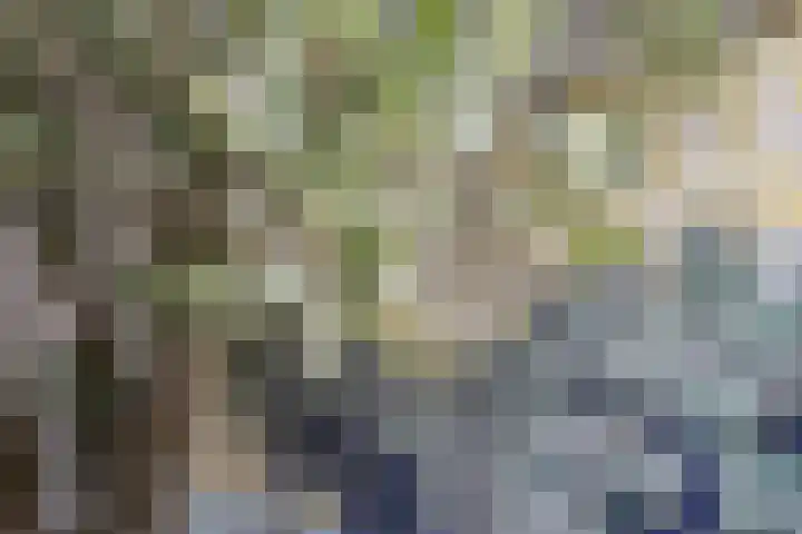 Klaverstraat 35 Utrecht thumbnail 33