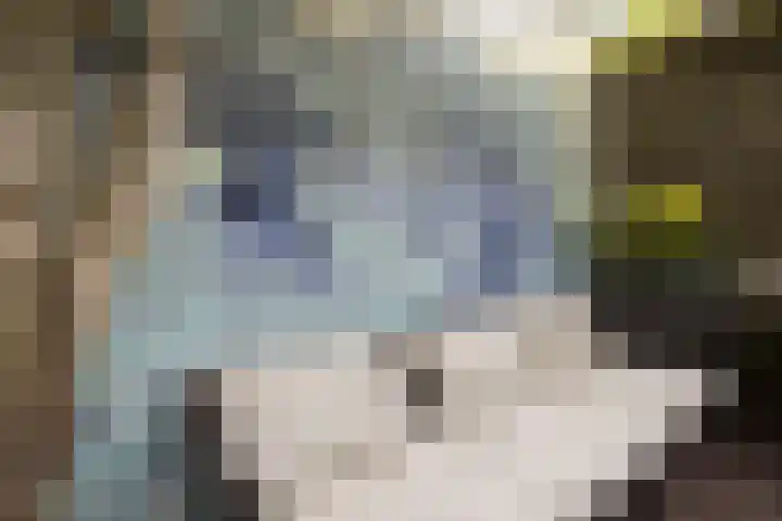 Klaverstraat 35 Utrecht thumbnail 34